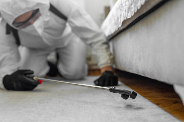 Professional Pest Control technician working in Randall County County, TX